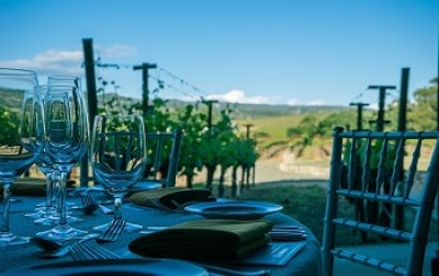 Discover the Best Places to Go Wine Tasting with AI